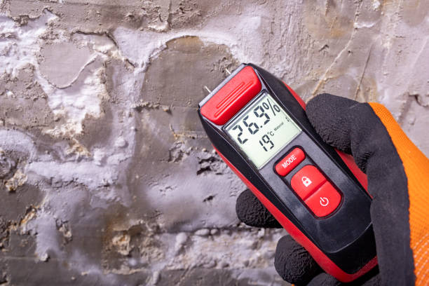 Mold Removal and Inspection in Decherd, TN