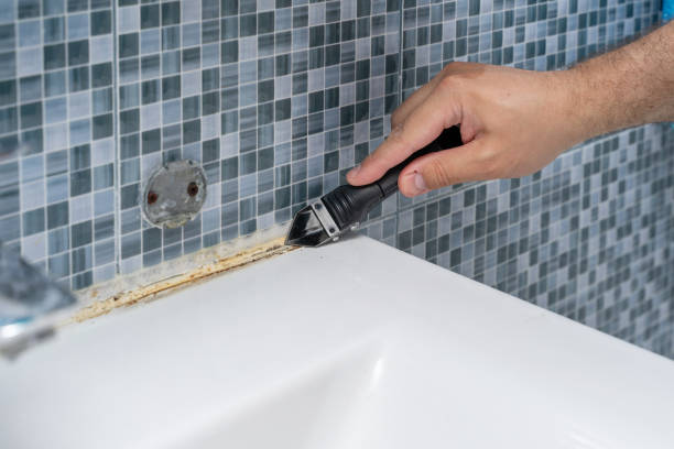 Best Mold Testing  in Decherd, TN