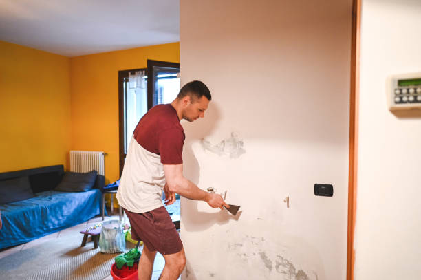 Best Office Mold Removal Services  in Decherd, TN